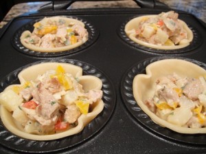 Pre-Cooked Meat Pies