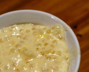 Guilt Free Tapioca Pudding