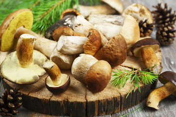 Wild Mushrooms