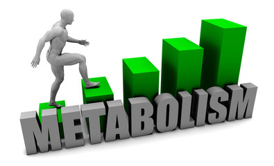 Understanding Metabolism