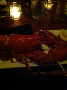 Mitchell's Lobster