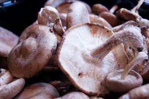 Shitake Mushrooms