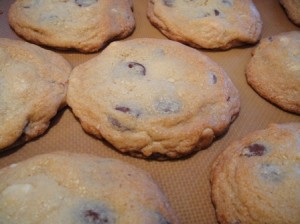 Macadamia Nut Cookies with Dark Chocolate