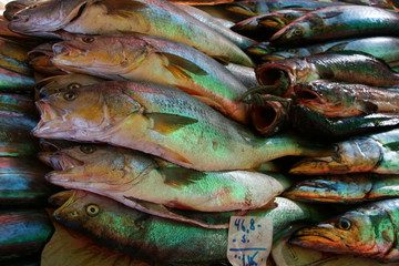 Chilean Sea Bass