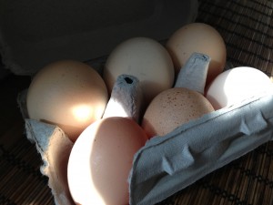 Farmer's Eggs