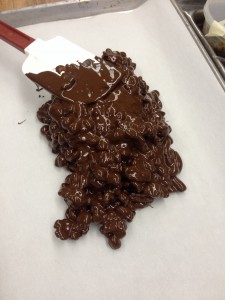 Tempered Chocolate and Nuts