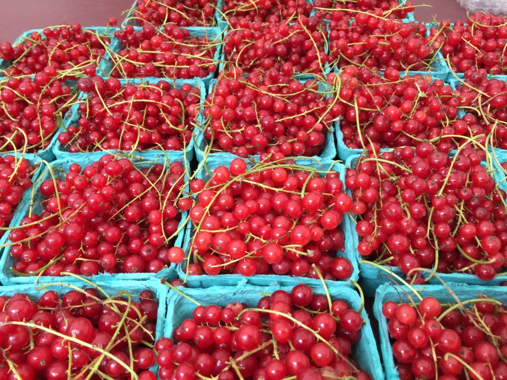 Red Currants