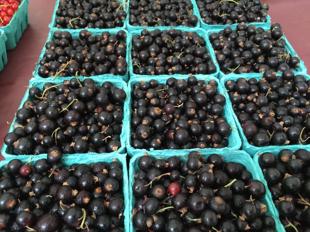 Black Currants